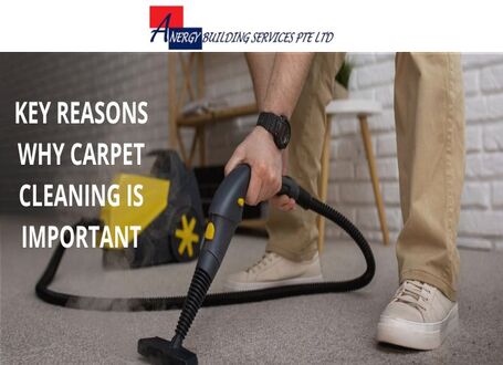 Key Reasons Why Carpet Cleaning is Important